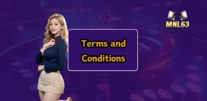 Terms and Conditions