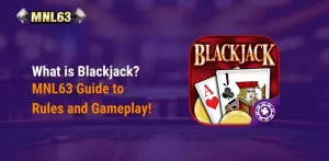 What is Blackjack?